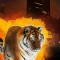 Tiger_thumb200