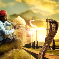 snakecharmerthumb200