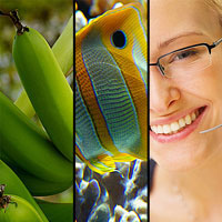 photoshop-sharpen-thumbnail